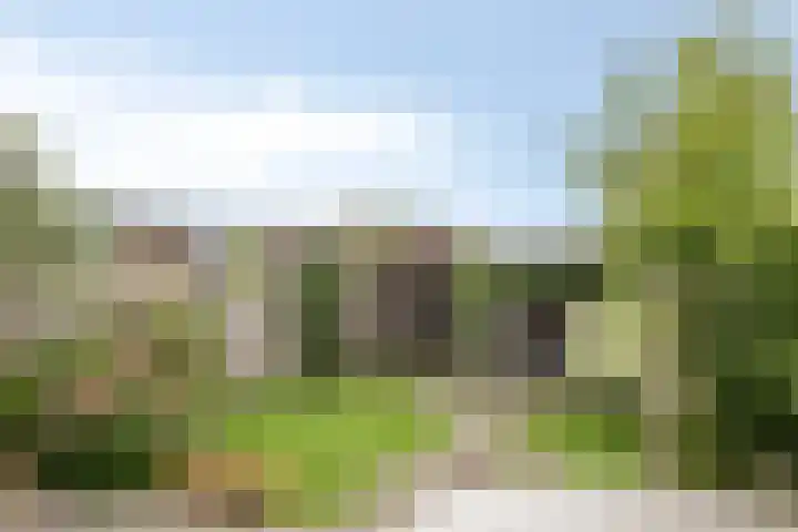 Knotwilg 22 Kampen thumbnail 18