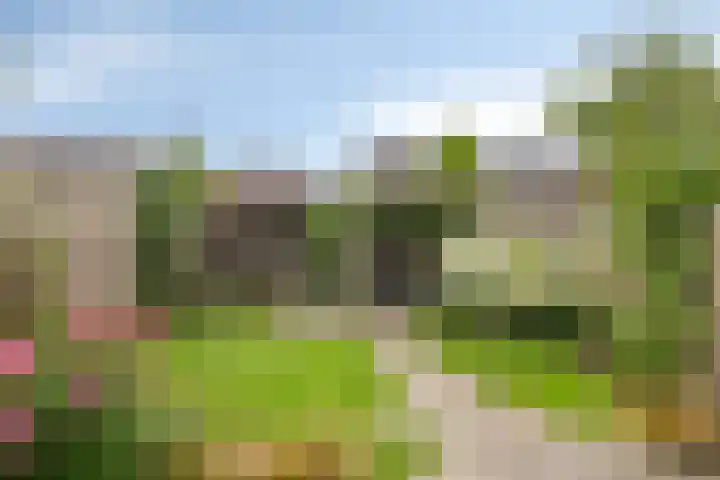 Knotwilg 22 Kampen thumbnail 19