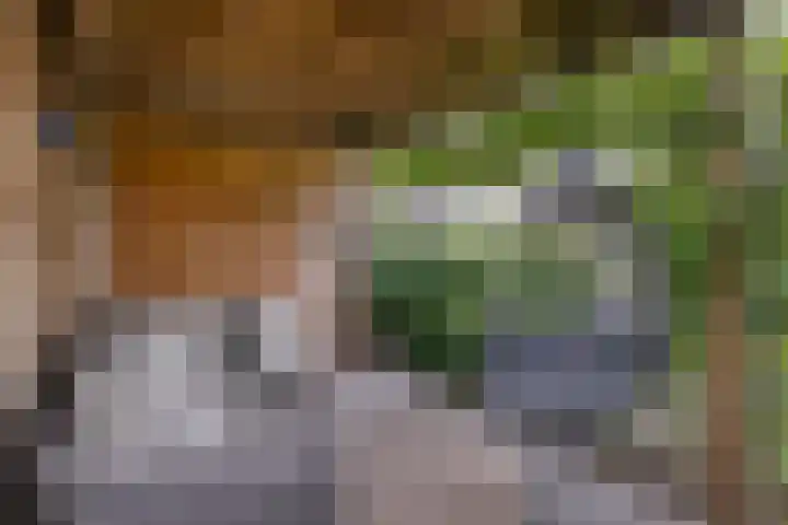 Knotwilg 22 Kampen thumbnail 20