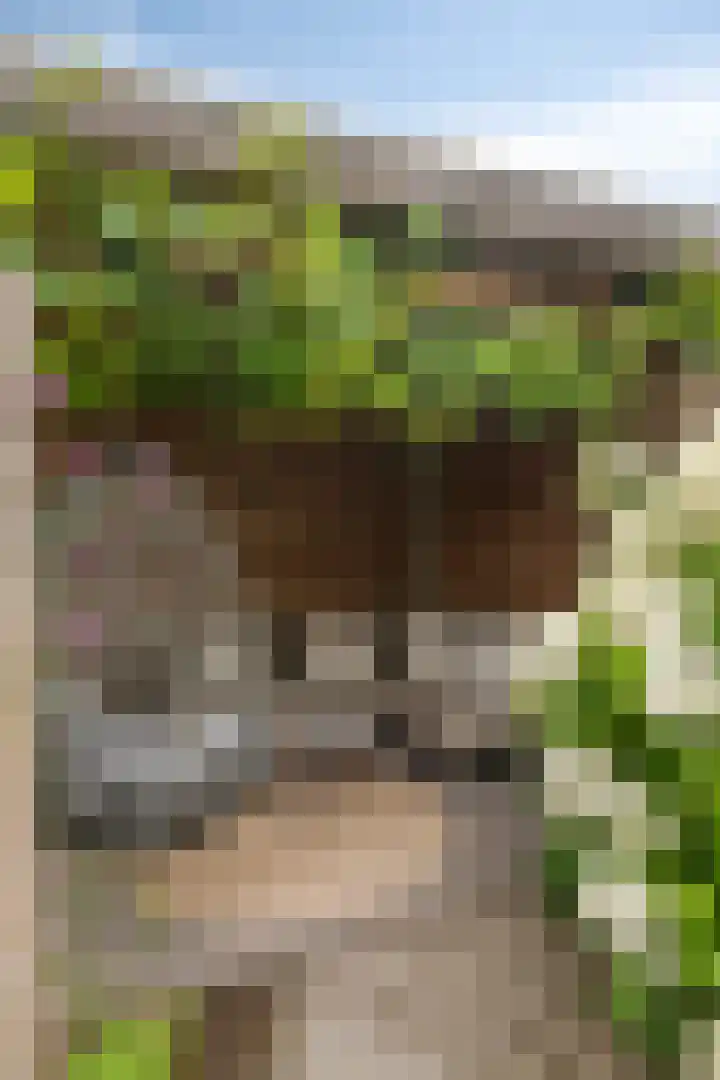 Knotwilg 22 Kampen thumbnail 21
