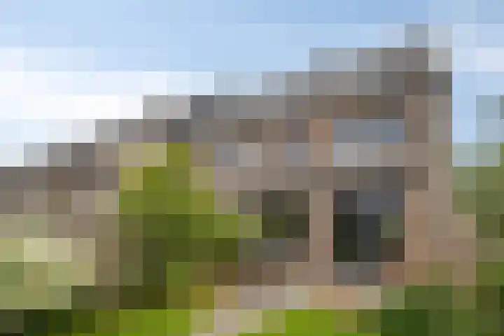 Knotwilg 22 Kampen thumbnail 22