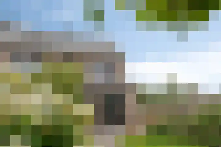 Knotwilg 22 Kampen thumbnail 23