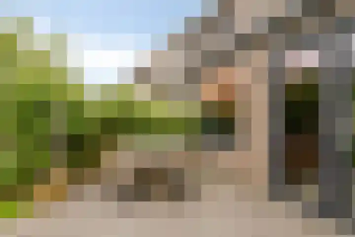 Knotwilg 22 Kampen thumbnail 24