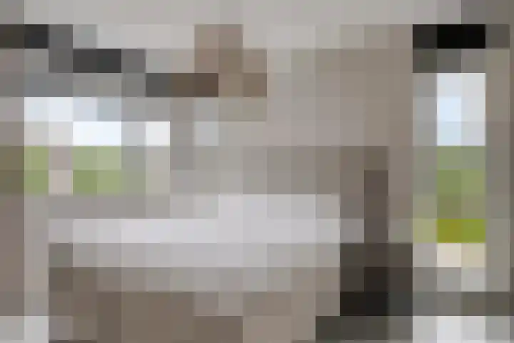 Knotwilg 22 Kampen thumbnail 26