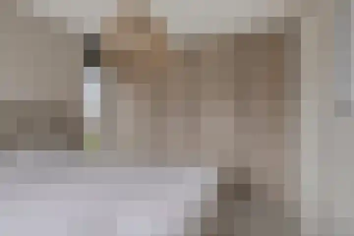 Knotwilg 22 Kampen thumbnail 27