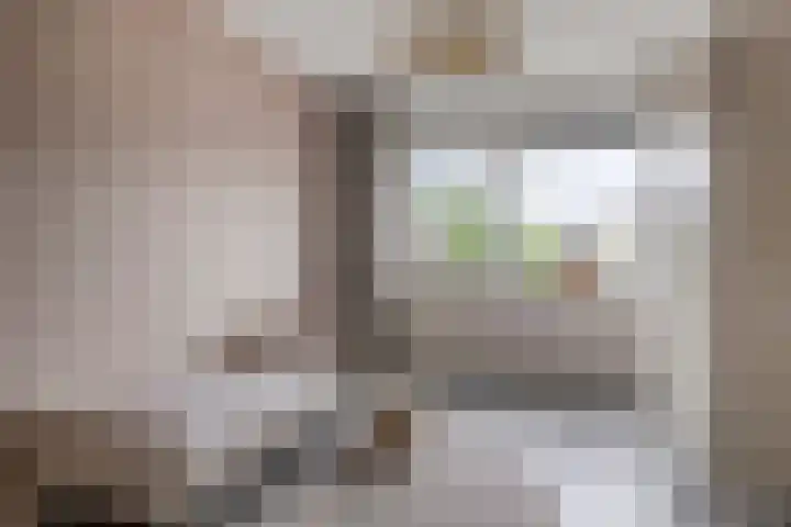 Knotwilg 22 Kampen thumbnail 31