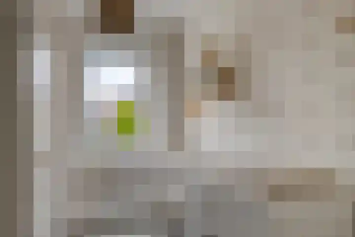 Knotwilg 22 Kampen thumbnail 33