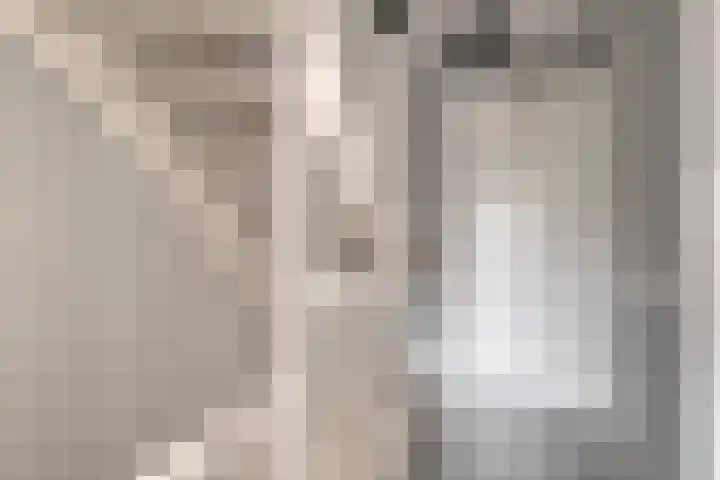 Knotwilg 22 Kampen thumbnail 35