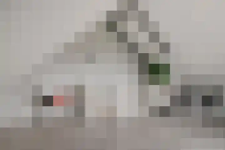 Knotwilg 22 Kampen thumbnail 37