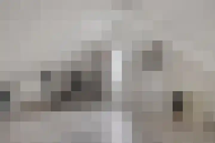 Knotwilg 22 Kampen thumbnail 38