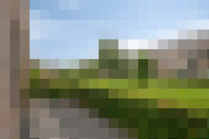 Knotwilg 22 Kampen thumbnail 39