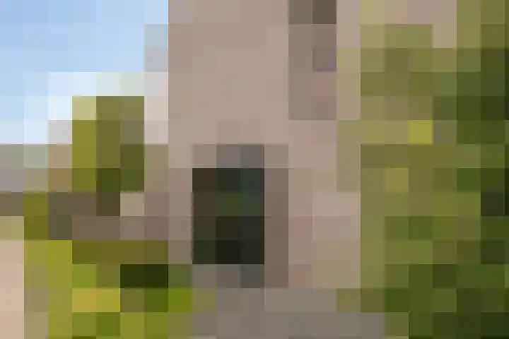 Knotwilg 22 Kampen thumbnail 40