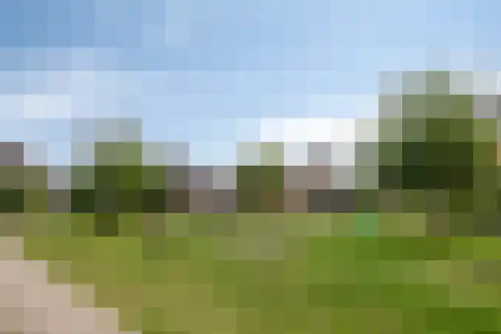 Knotwilg 22 Kampen thumbnail 41
