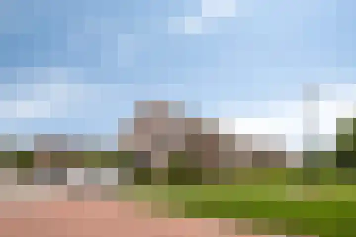 Knotwilg 22 Kampen thumbnail 5
