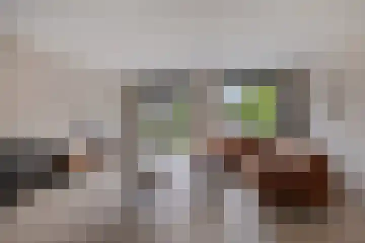 Knotwilg 22 Kampen thumbnail 8