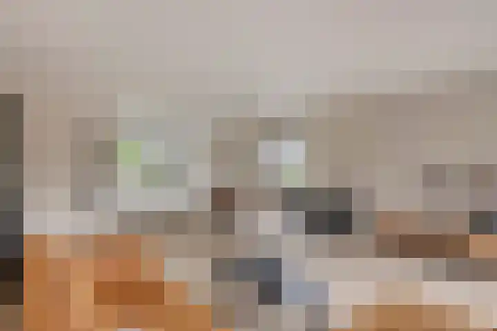 Knotwilg 22 Kampen thumbnail 9