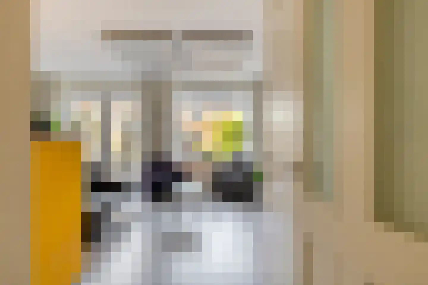 Knotwilg 6 Kampen thumbnail 10
