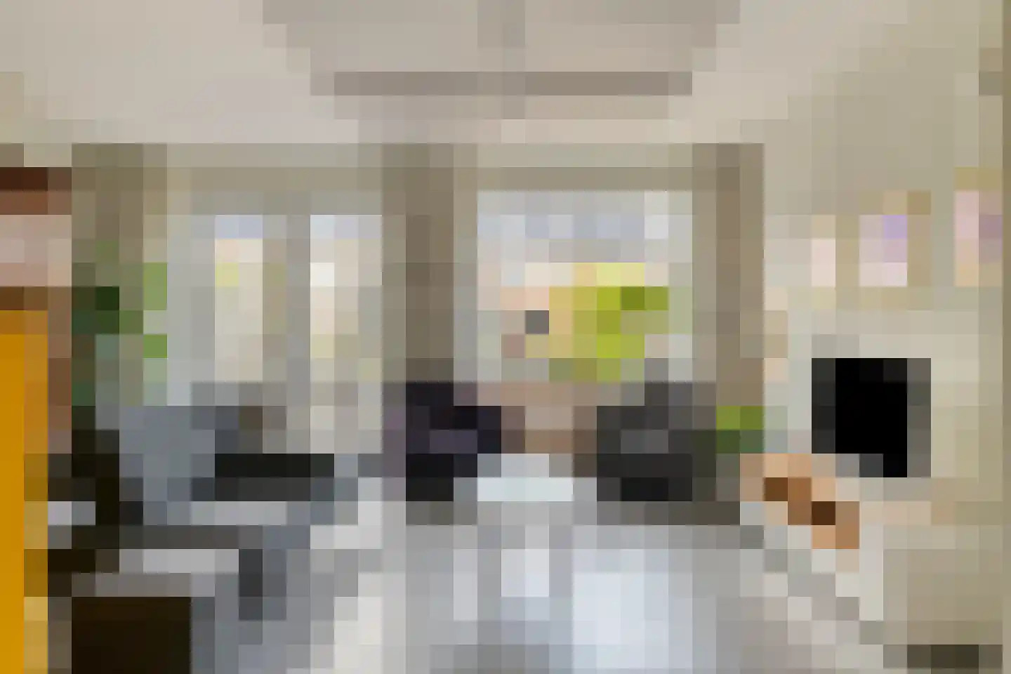 Knotwilg 6 Kampen thumbnail 11