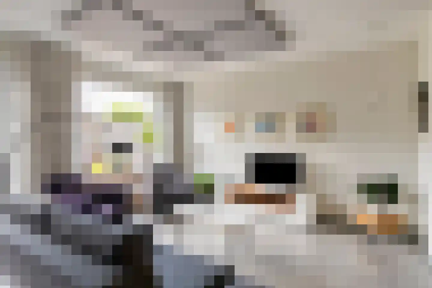 Knotwilg 6 Kampen thumbnail 12