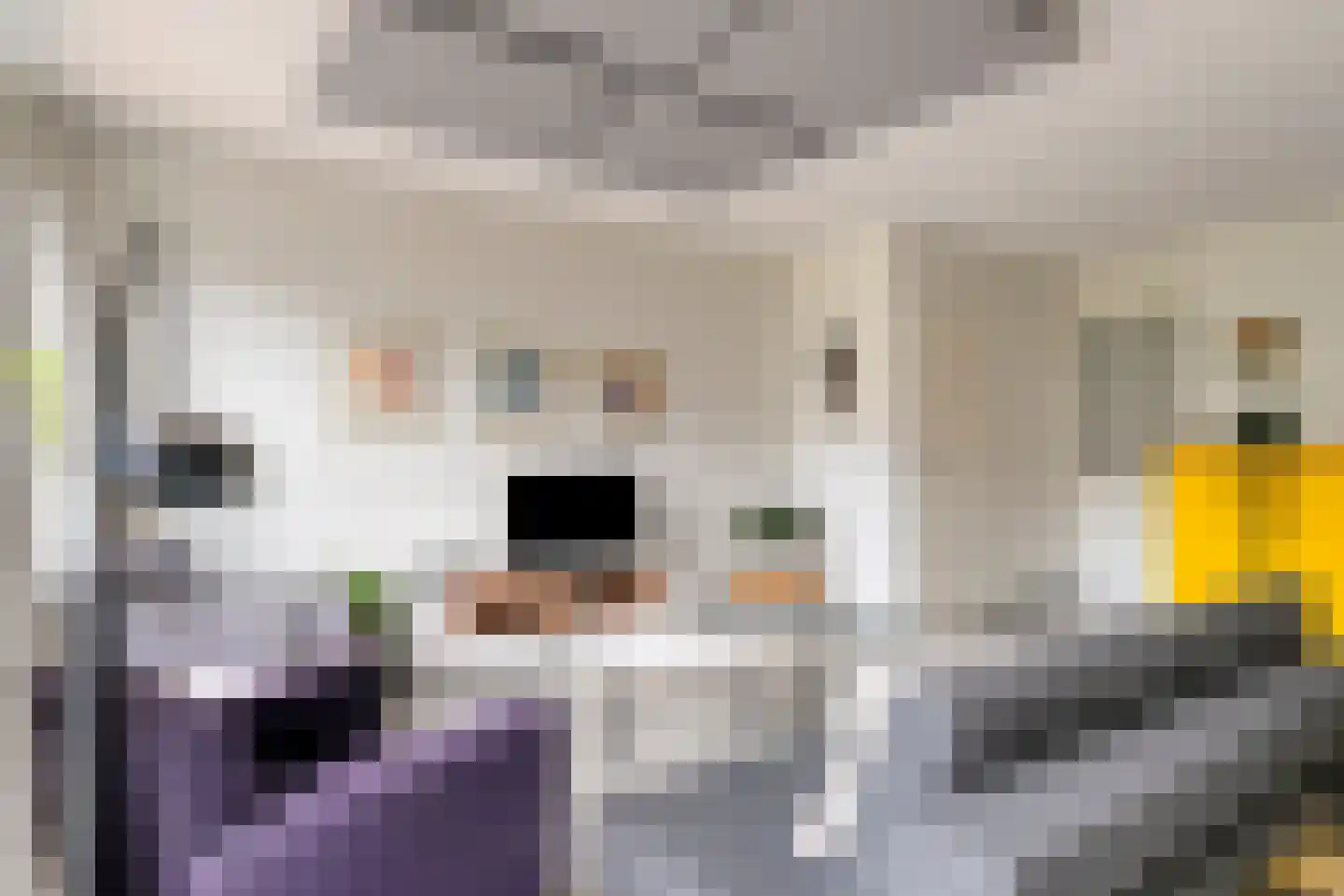 Knotwilg 6 Kampen thumbnail 13