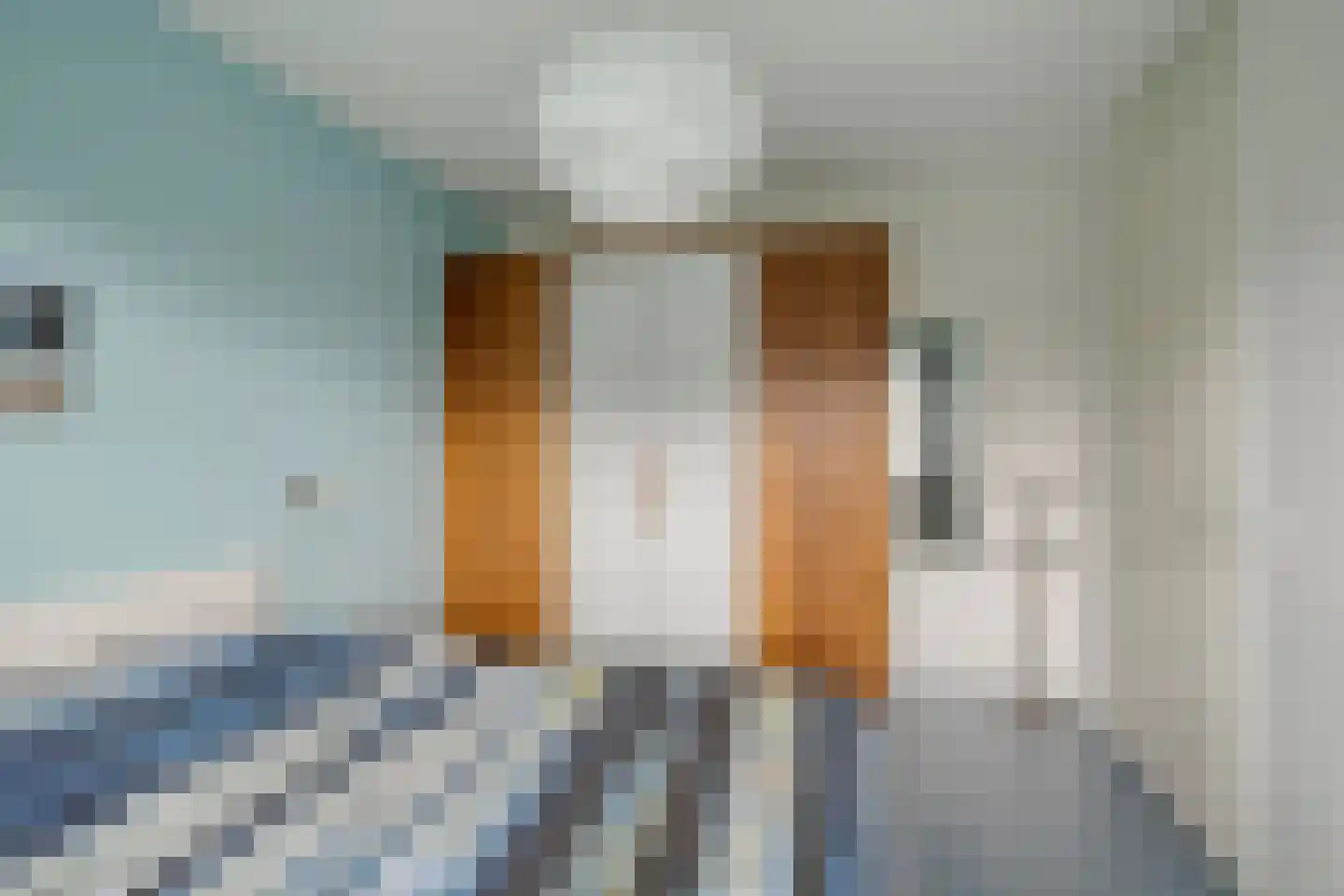 Knotwilg 6 Kampen thumbnail 22