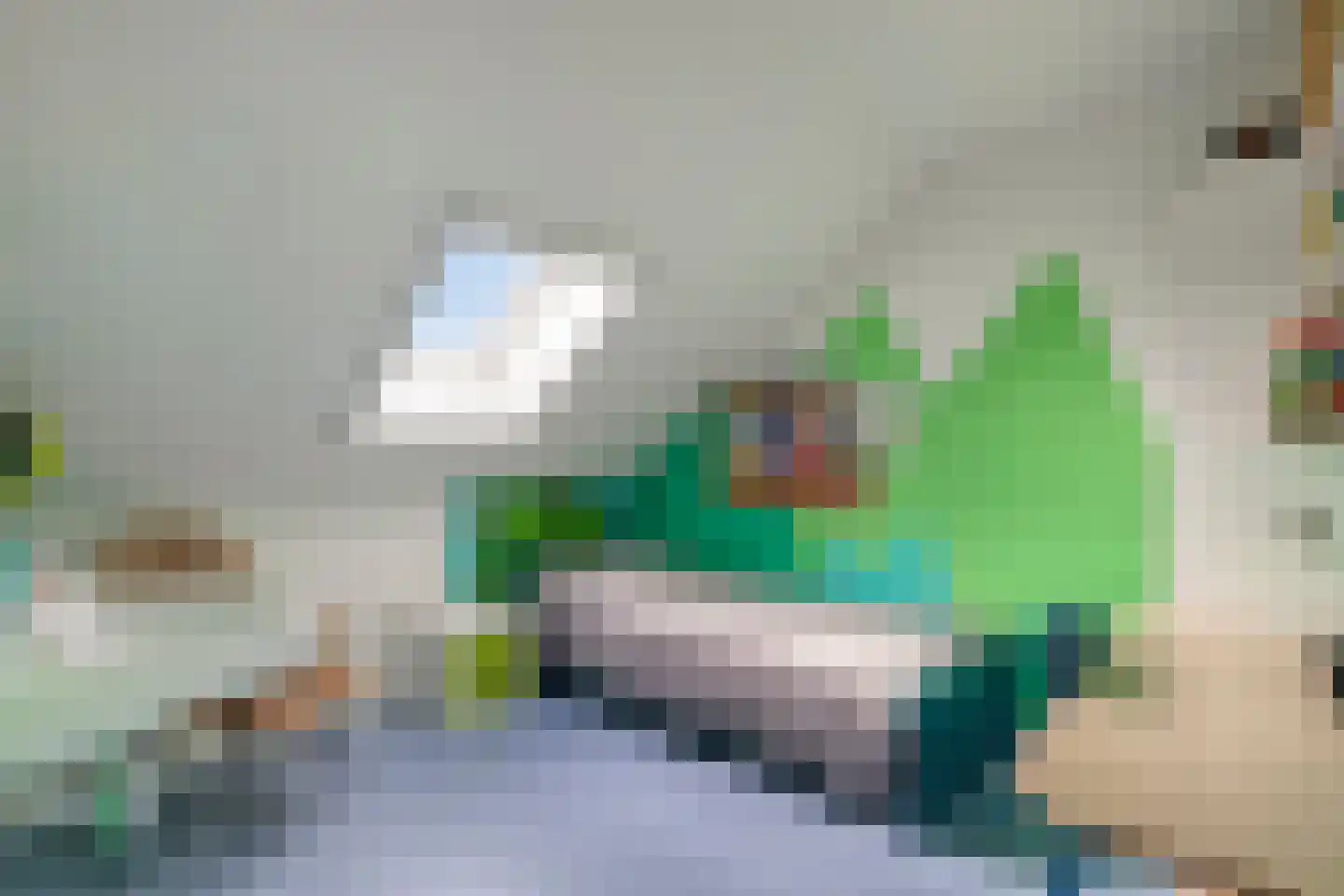 Knotwilg 6 Kampen thumbnail 31