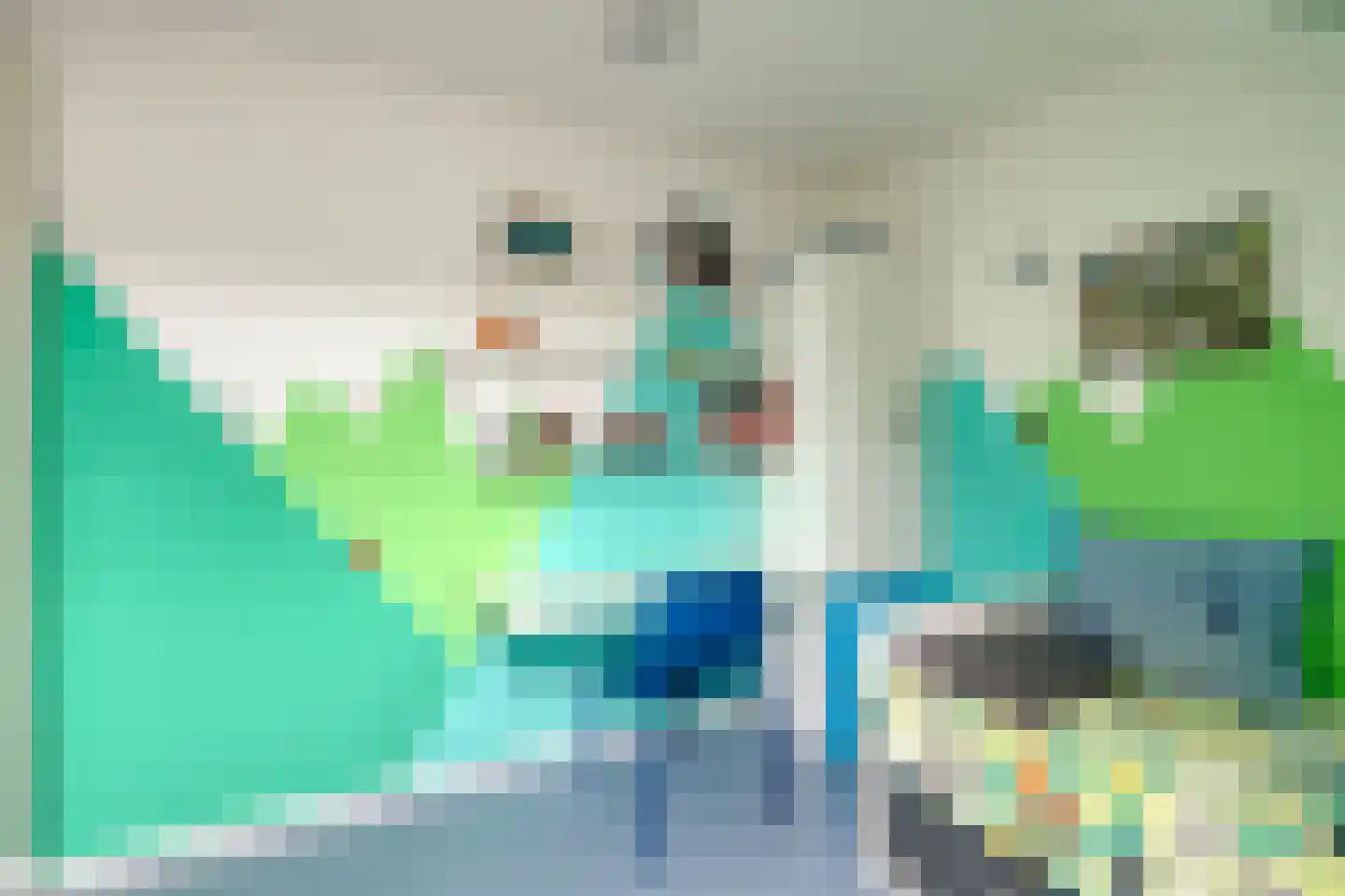 Knotwilg 6 Kampen thumbnail 34