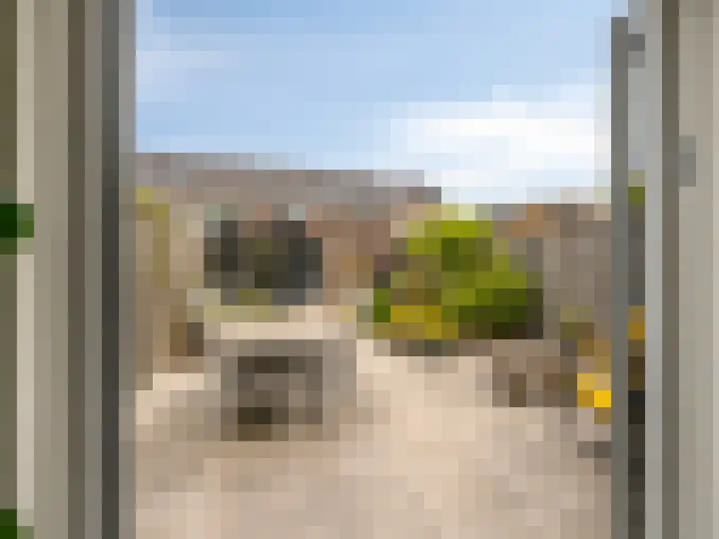 Knotwilg 6 Kampen thumbnail 35