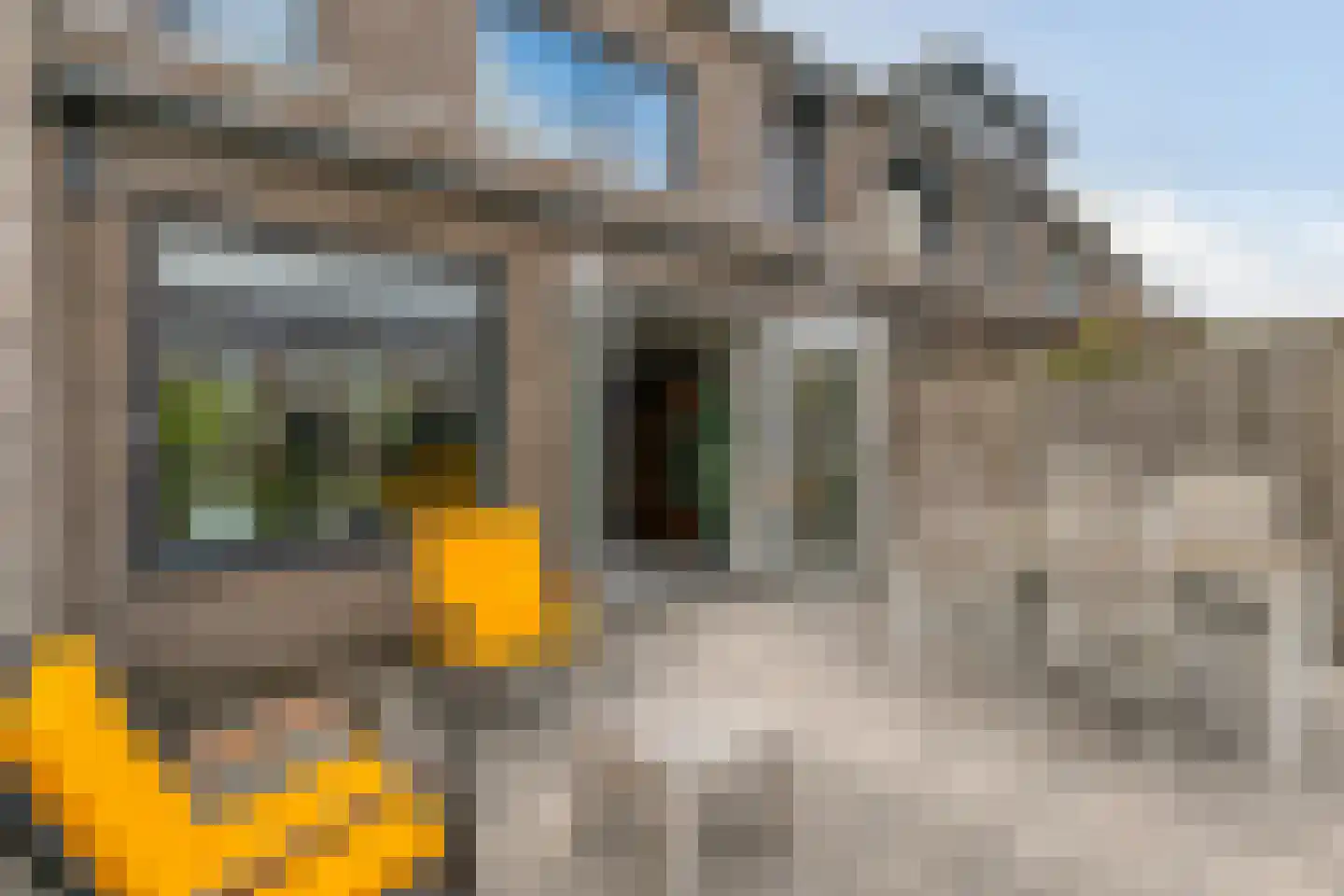 Knotwilg 6 Kampen thumbnail 36