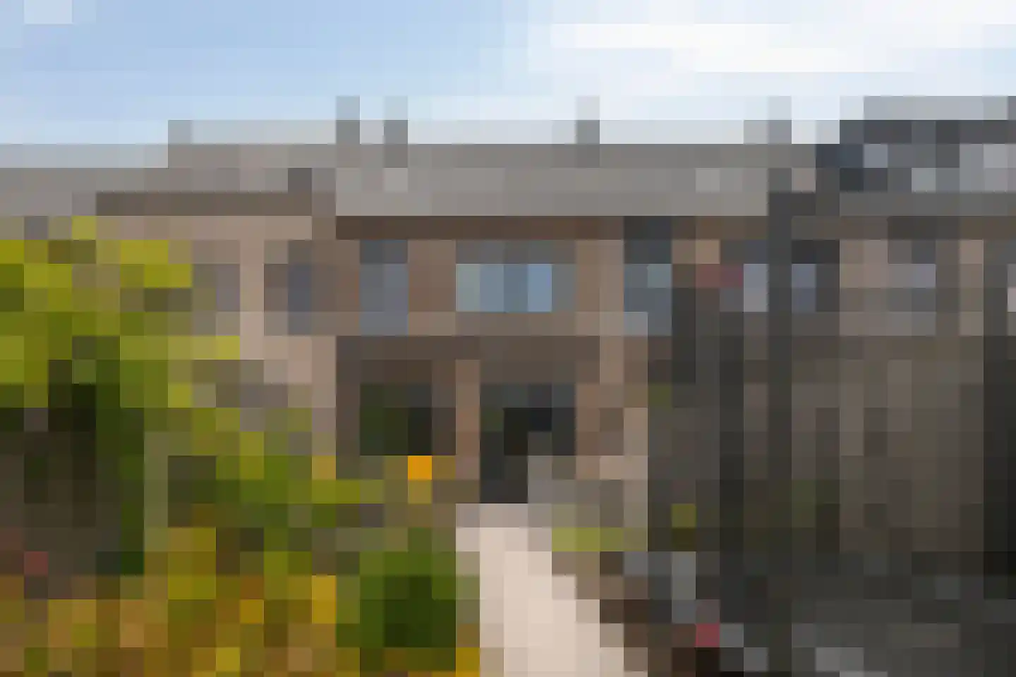 Knotwilg 6 Kampen thumbnail 38