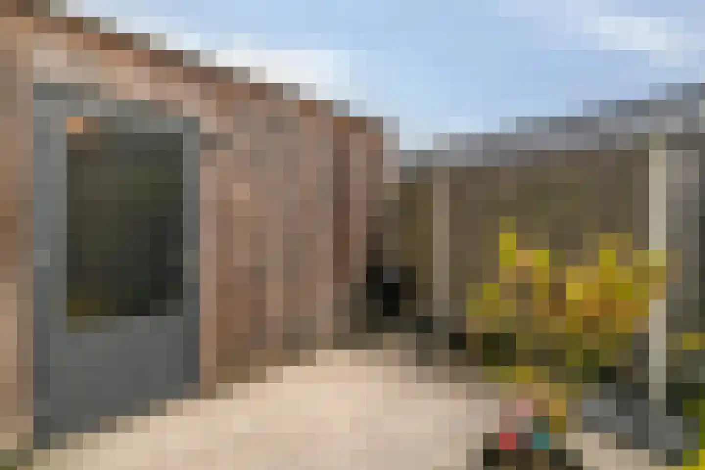 Knotwilg 6 Kampen thumbnail 39