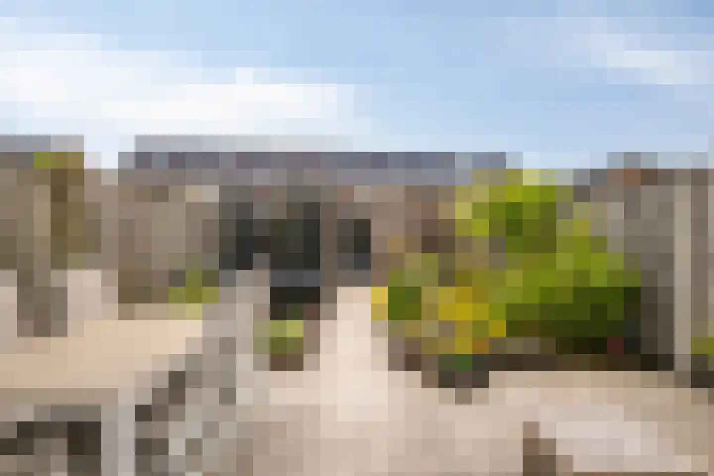 Knotwilg 6 Kampen thumbnail 4