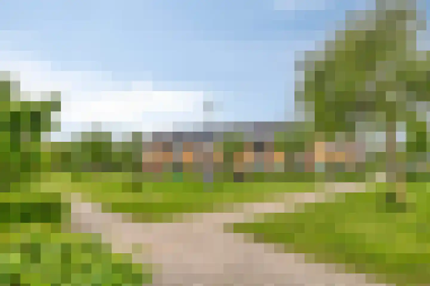 Knotwilg 6 Kampen thumbnail 43