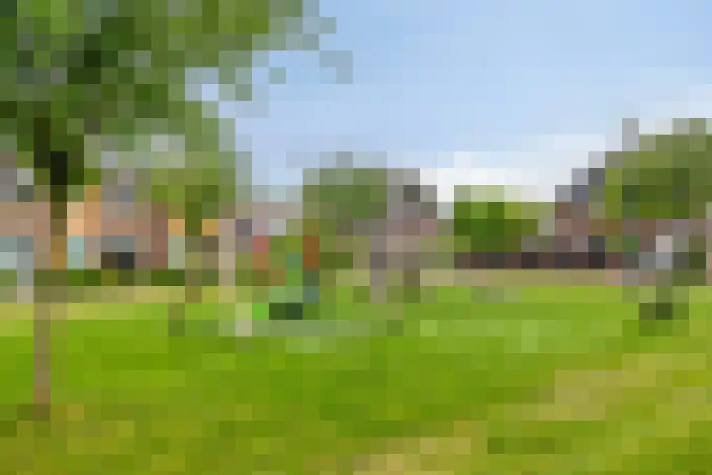Knotwilg 6 Kampen thumbnail 44