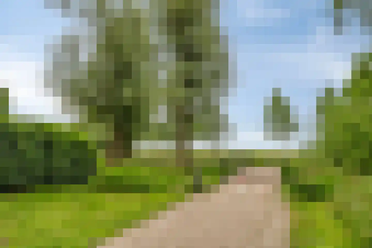 Knotwilg 6 Kampen thumbnail 45