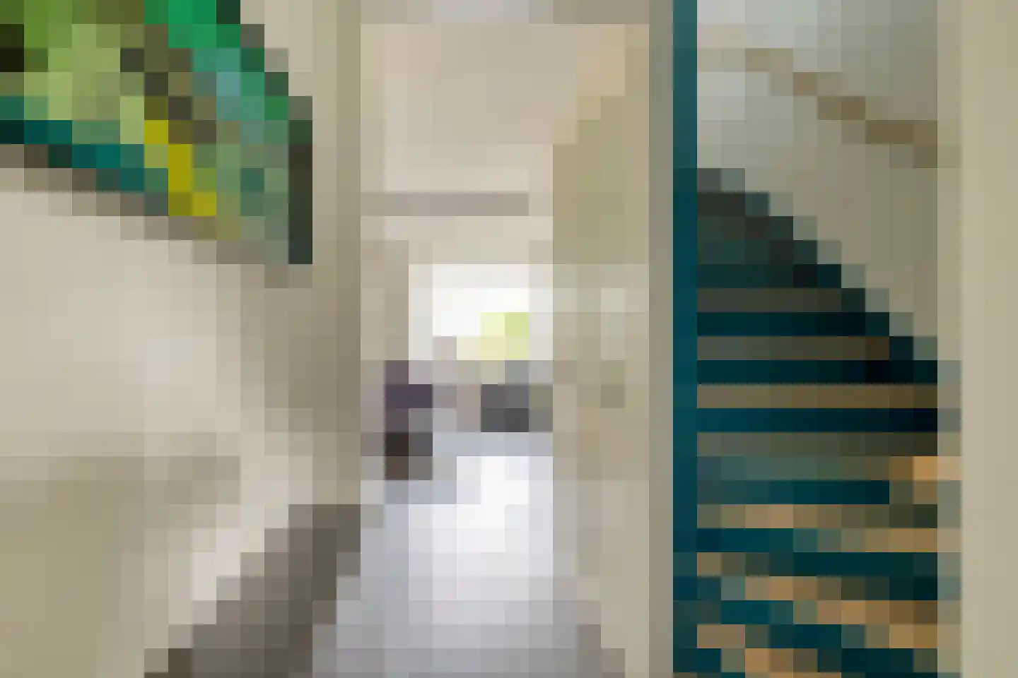 Knotwilg 6 Kampen thumbnail 9