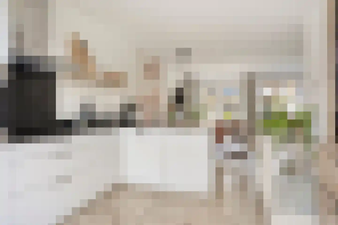 Knotwilg 9 Kampen thumbnail 21