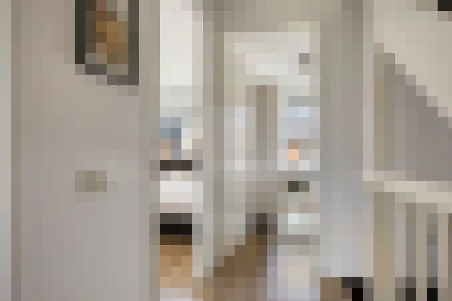 Knotwilg 9 Kampen thumbnail 26
