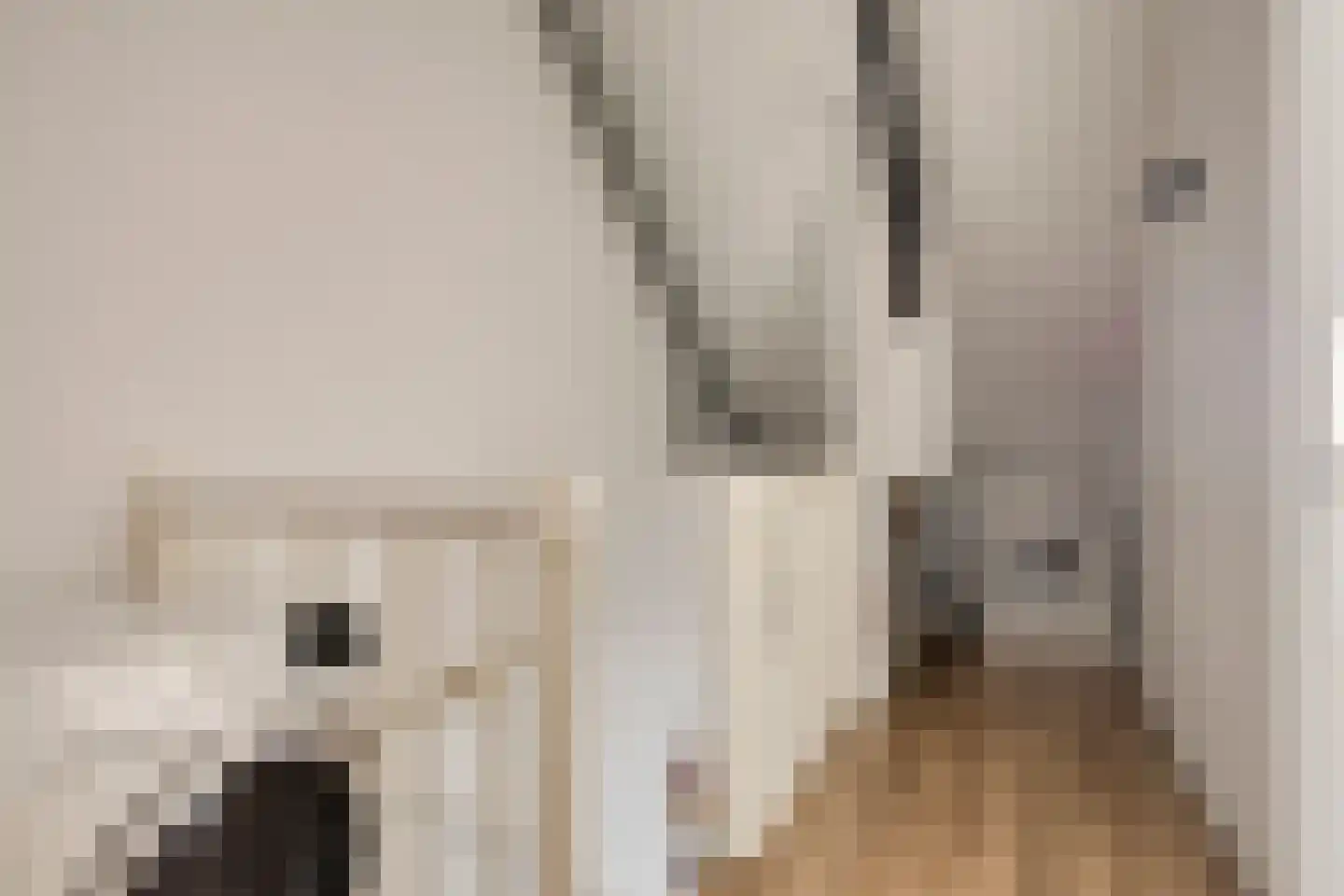 Knotwilg 9 Kampen thumbnail 35