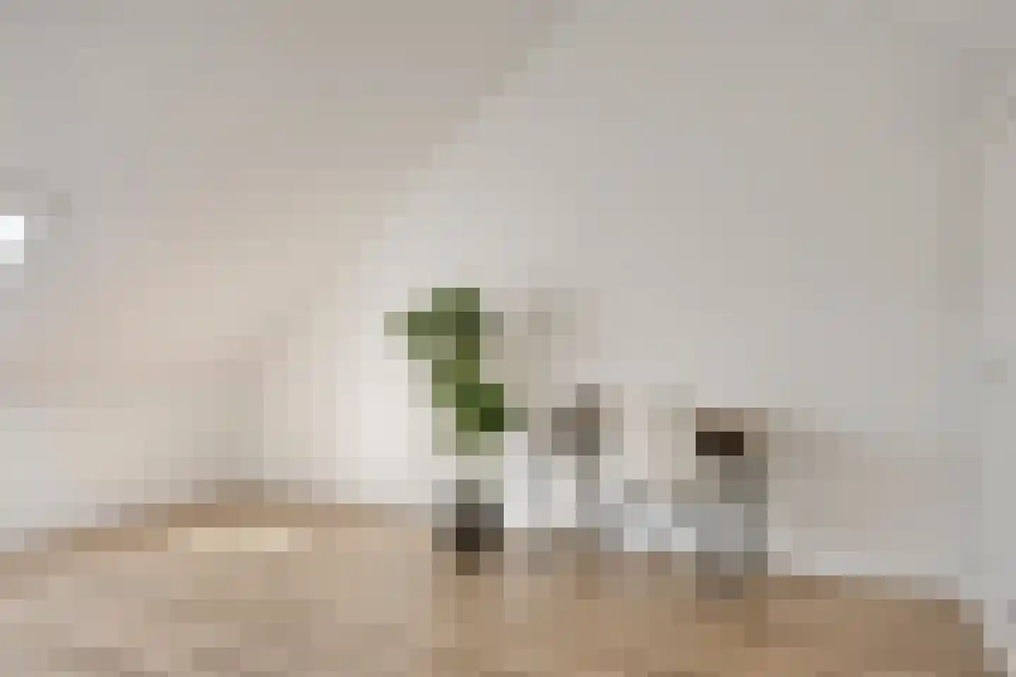Knotwilg 9 Kampen thumbnail 36