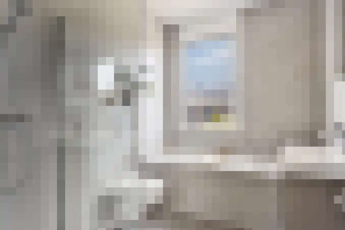 Knotwilg 9 Kampen thumbnail 4