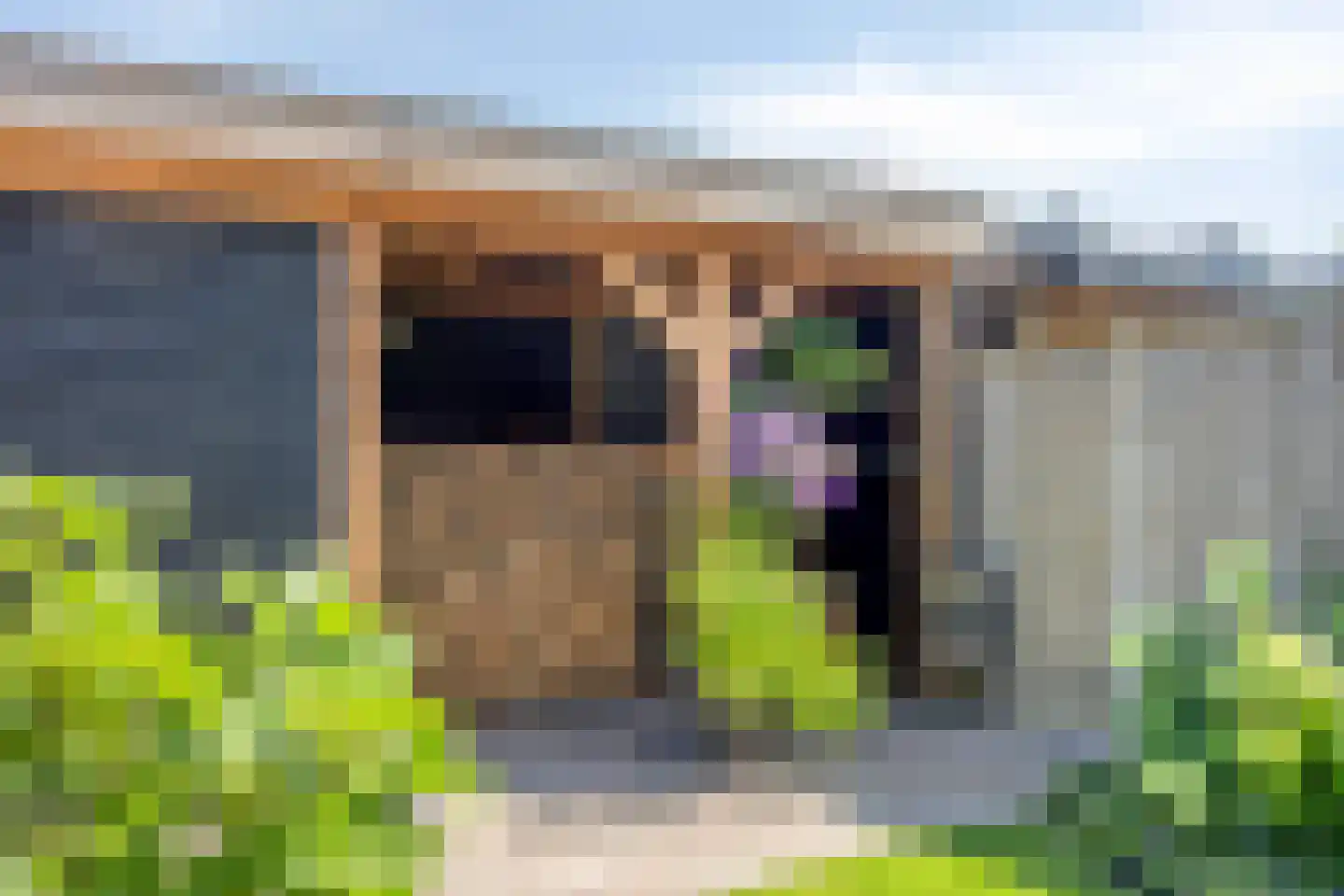 Knotwilg 9 Kampen thumbnail 41