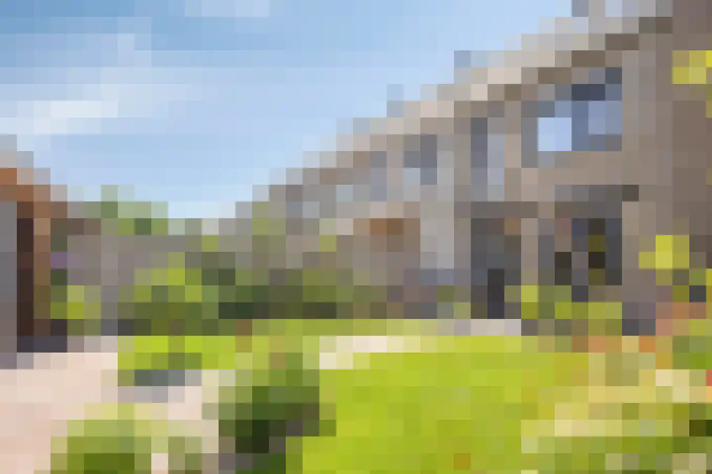 Knotwilg 9 Kampen thumbnail 43