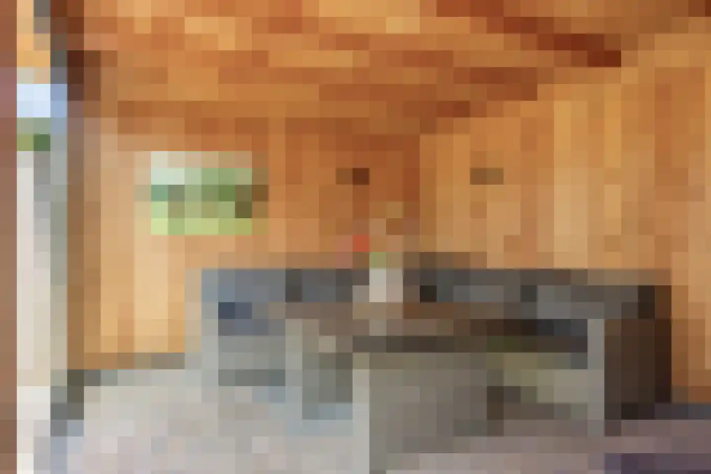 Knotwilg 9 Kampen thumbnail 45