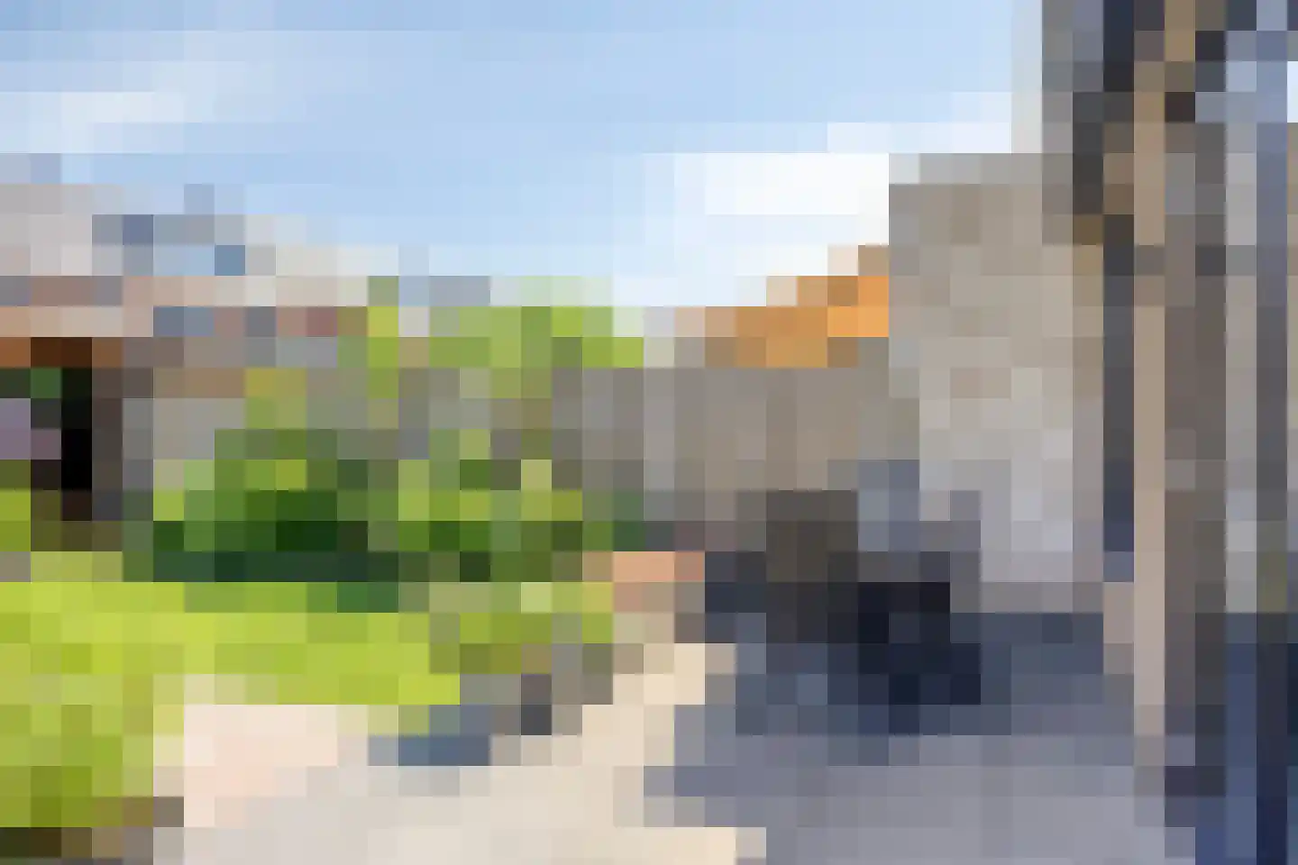 Knotwilg 9 Kampen thumbnail 49