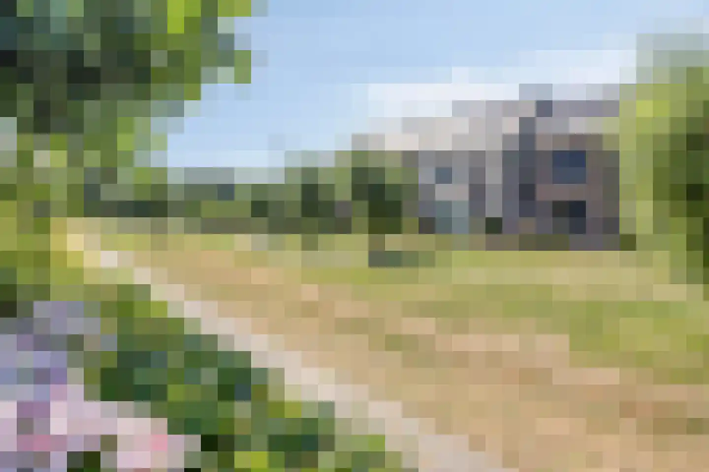 Knotwilg 9 Kampen thumbnail 52