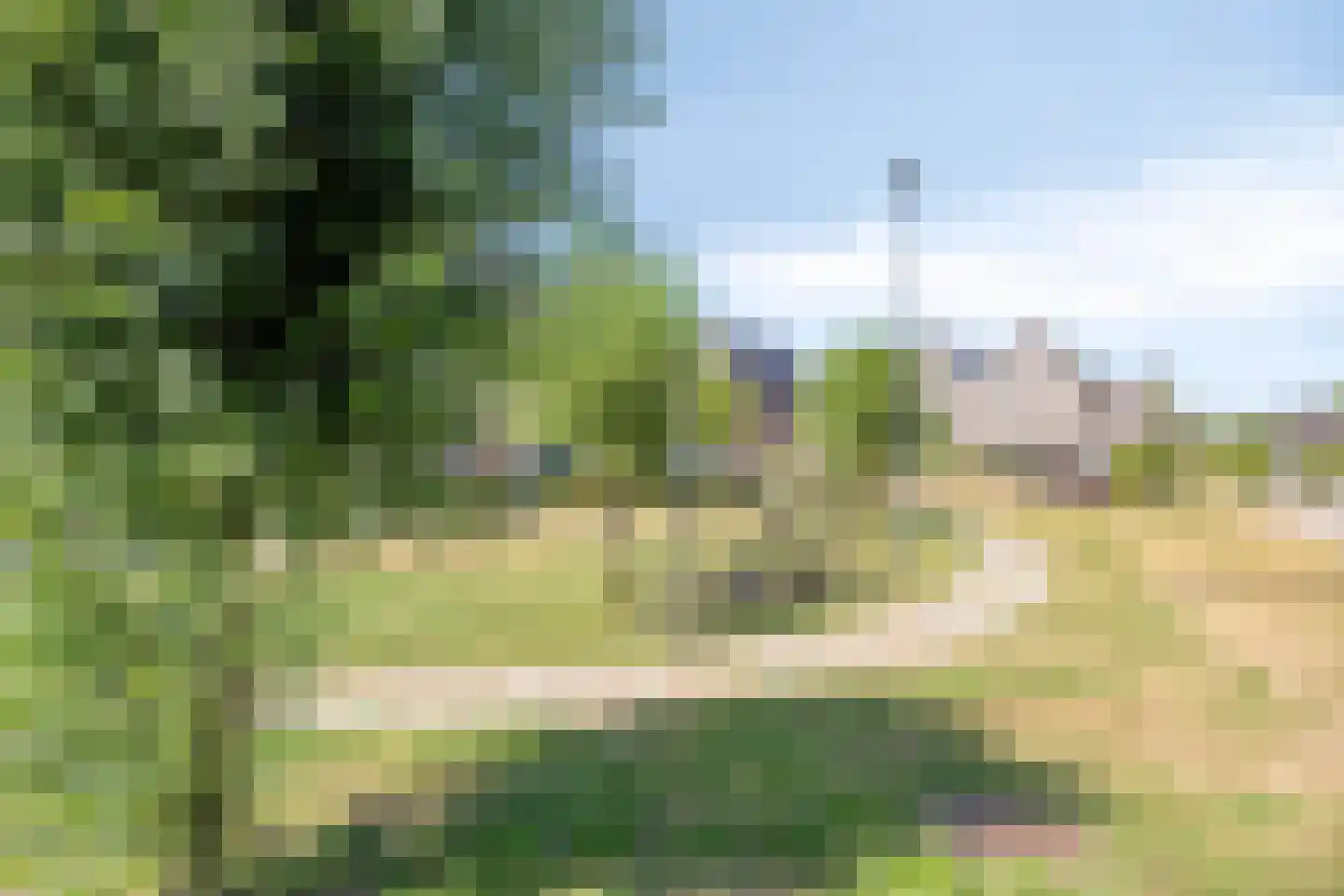Knotwilg 9 Kampen thumbnail 55