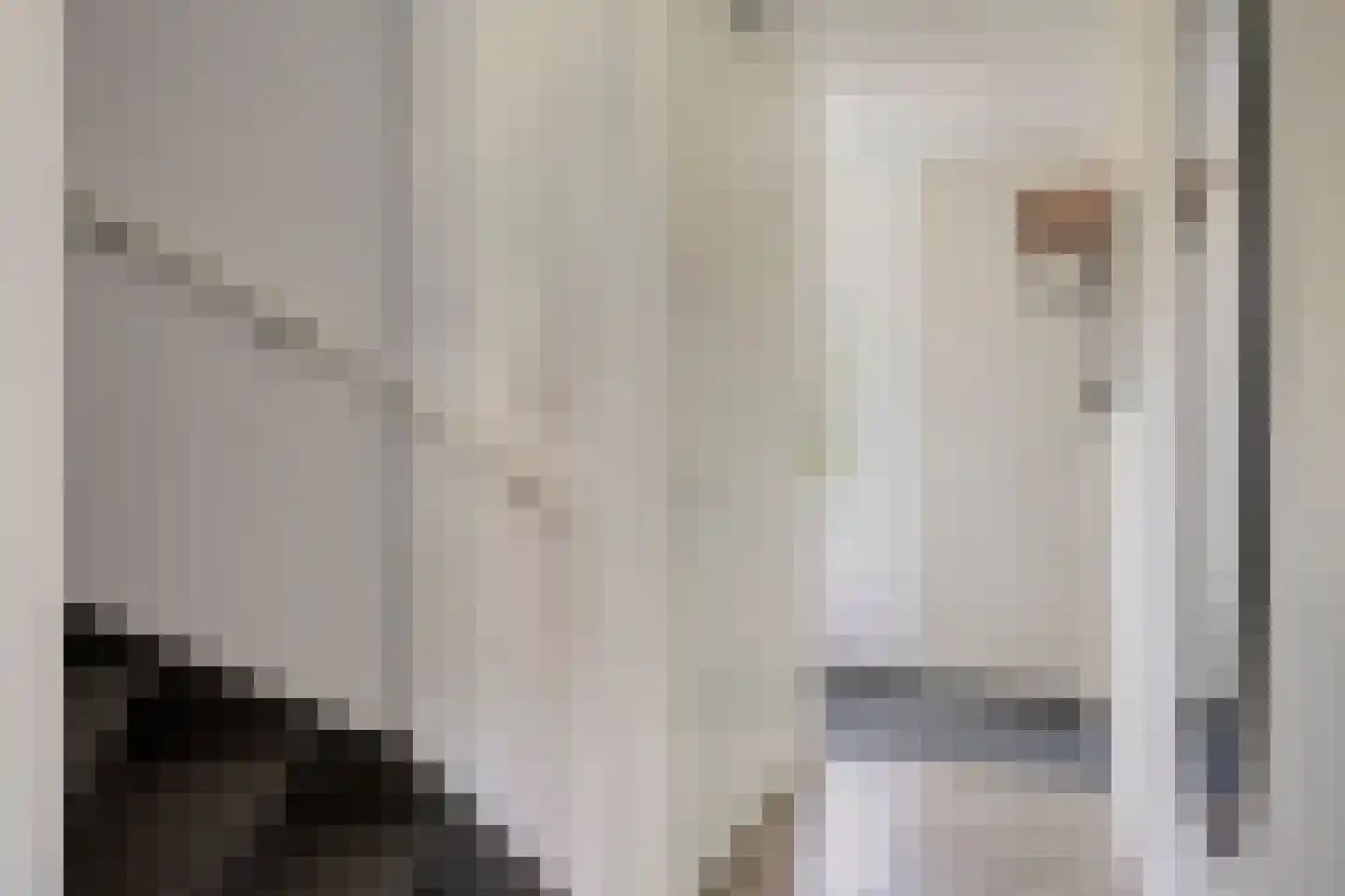 Knotwilg 9 Kampen thumbnail 9