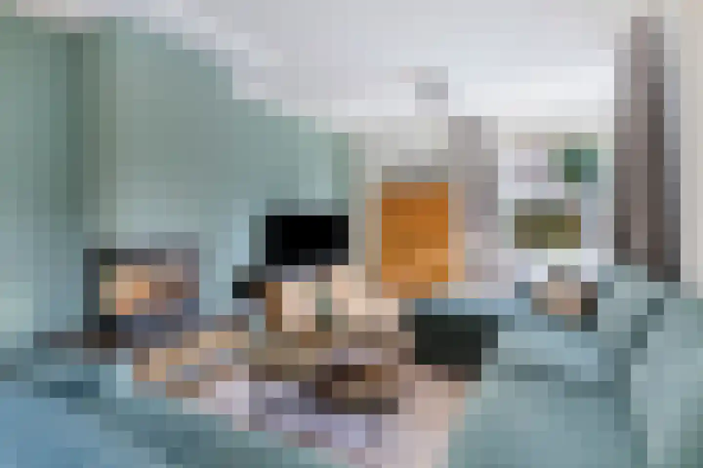 Knotwilgendreef 17 Kamperland thumbnail 15