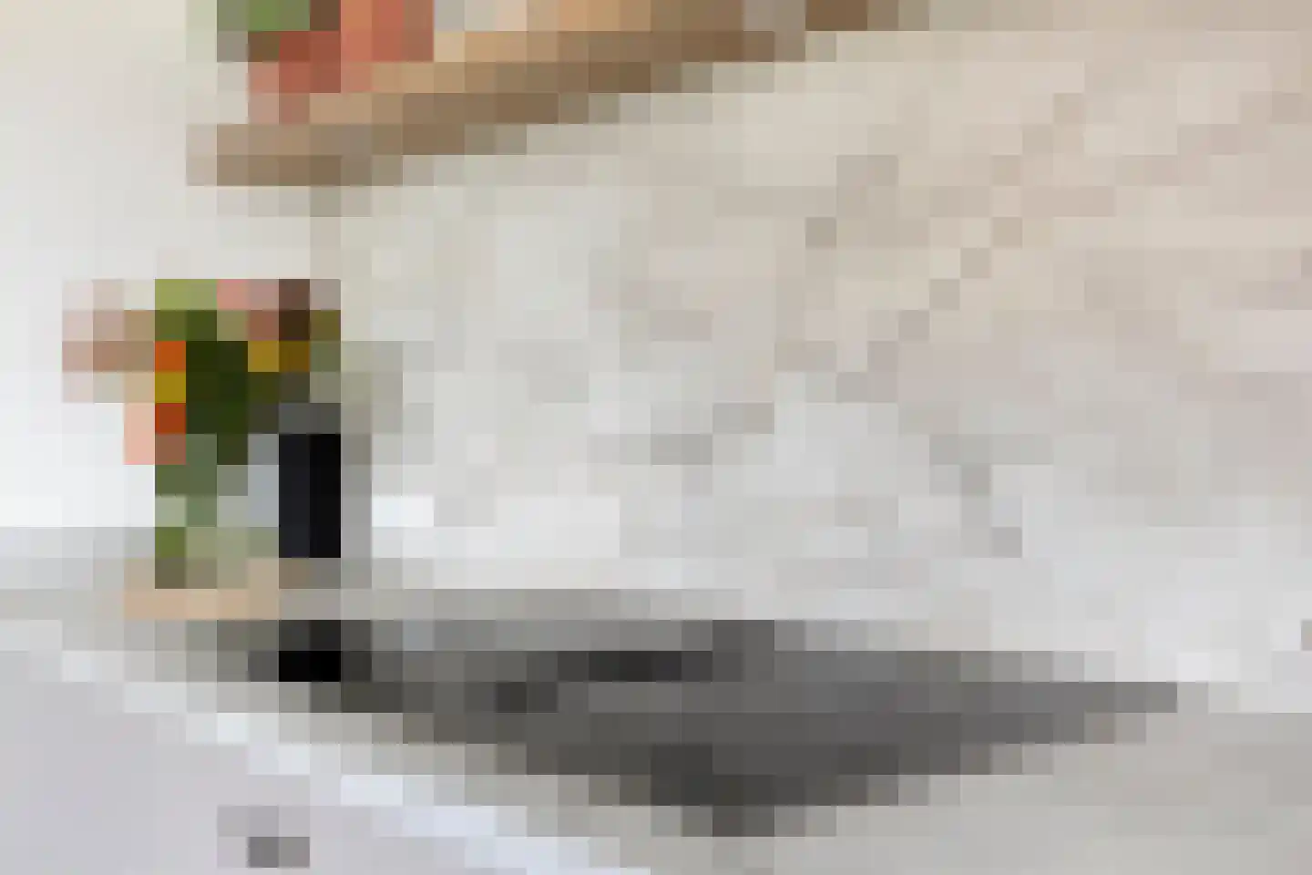 Knotwilgendreef 17 Kamperland thumbnail 21